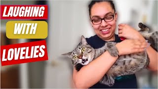 Ultimate Funny Cats and Dogs Compilation | Hilarious Pet Moments | PETASTIC 🐾