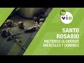 Santo Rosario, Misterios Gloriosos, Miércoles y Domingo - Tele VID