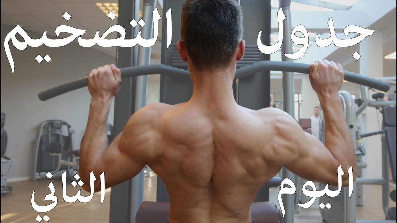 تمرين ظهر وبايسبس I اليوم الثاني I جدول التضخيم