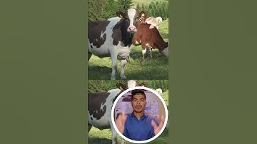 ஒரு செருப்பு கூட இல்லாமல் இருந்து | If You Want Success Keep Try Until Your Last Breath￼ | #shorts