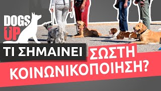 Η έννοια της Σωστής Κοινωνικοποίησης