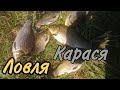 Ловля деснянского карася летом на удочку!