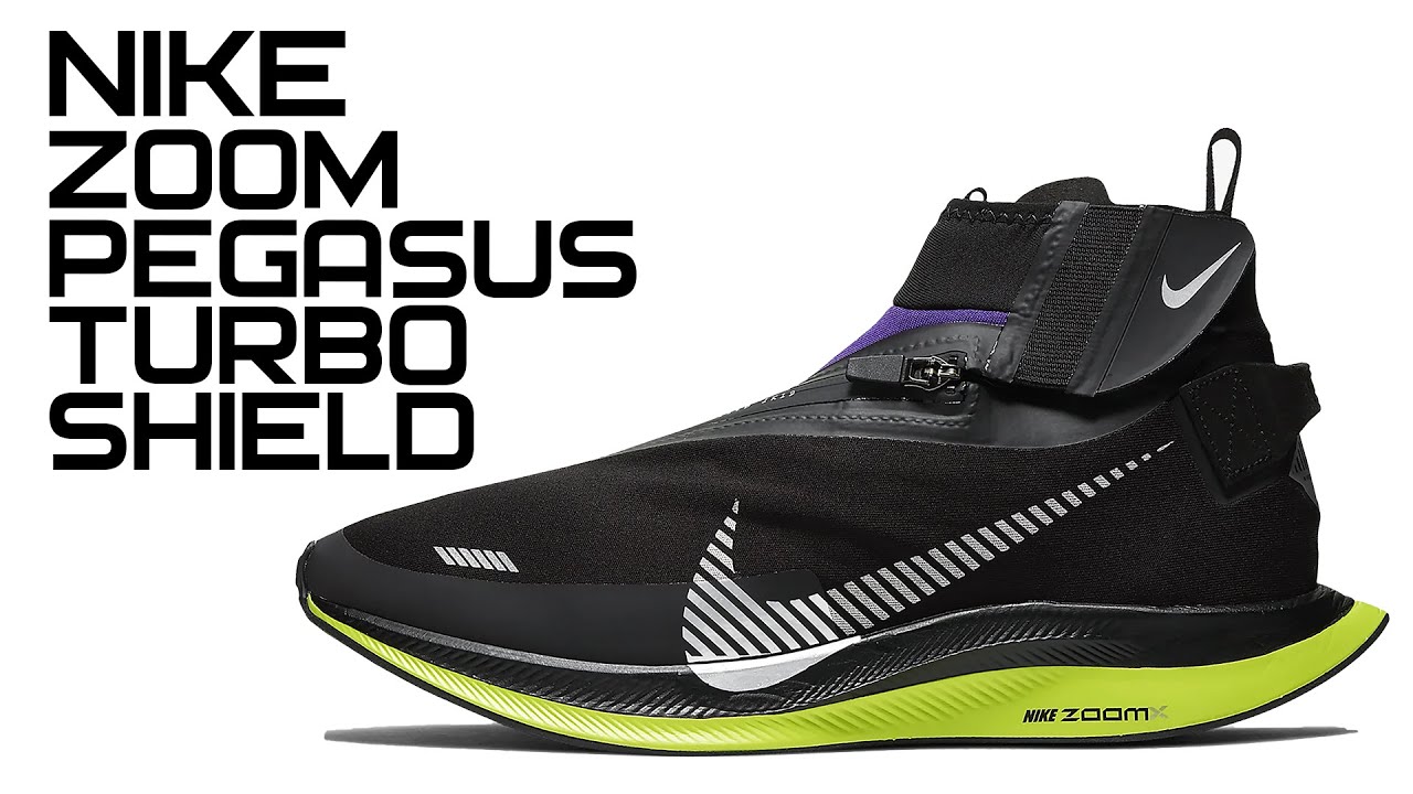 zoom pegasus turbo 36