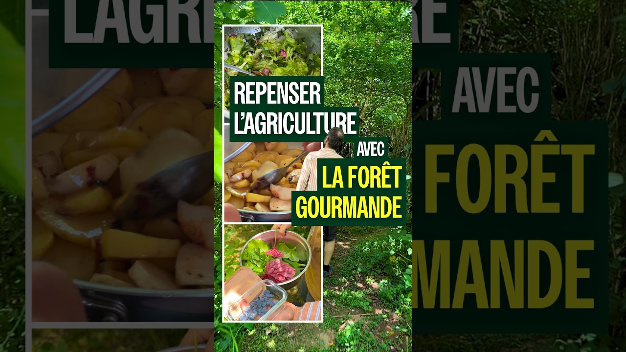 🌱 Ici, la culture se fait à même la forêt