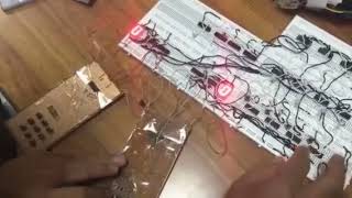 Door lock system using logic gates-Mechanthematica Wealth