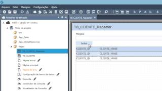 KB33 Abrir pagina em edicao na WindowSettings e retornando