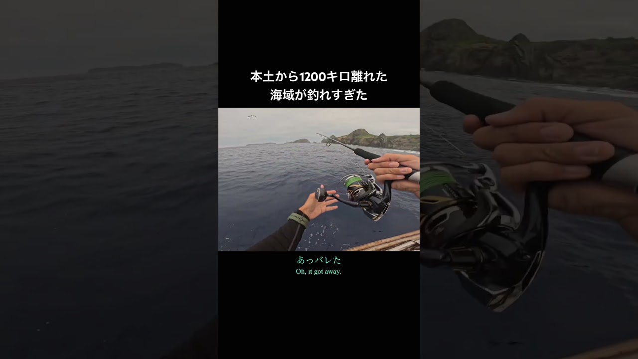 無限に魚が釣れます。 #釣り #ジギング#オフショア#fishing