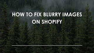 How To Fix Blurry Images On Shopify