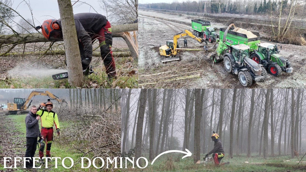 ABBATTIAMO IL NOSTRO PIOPPETO, RIUSCIREMO A FARE L'EFFETTO DOMINO? CIPPATURA CON I DUMPER