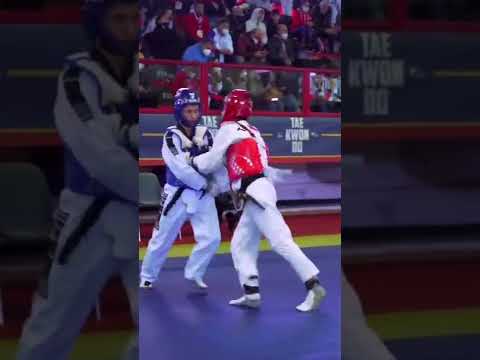 taekwondo roundhouse kicks
