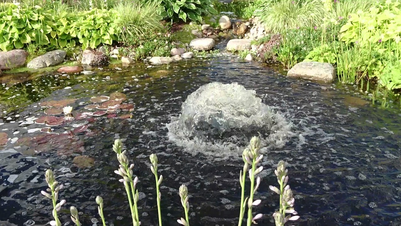 Aquaforte propellerpump 50000