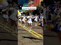 Tipos de bastoneras en los desfiles