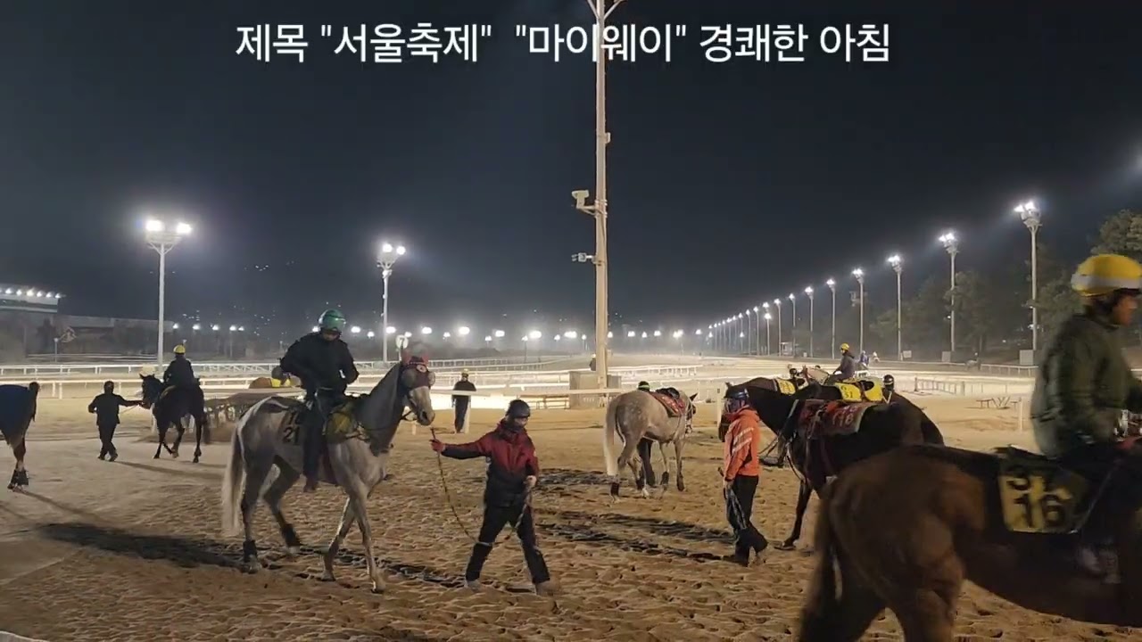 경쾌한 아침 "서울축제" "마이웨이"/ 나와 함께했던 서울축제라는 horse 있었는데~^^^
