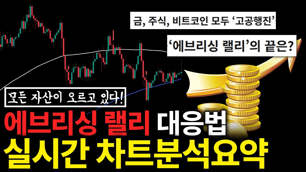 금, 부동산, 주식, 코인 모든 자산이 오르고 있다! 에브리싱 랠리 대응법과 차트분석요약
