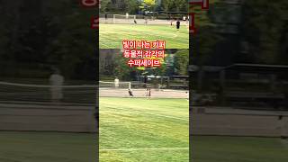 광명 G 스포츠 No.5 권예준 군의 팀을 살리는 [수퍼 세이브 🙌]
