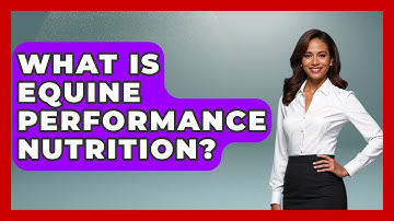 What Is Equine Performance Nutrition? - The World of Agriculture