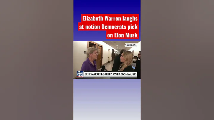 Elizabeth Warren shreds Musk: One human being shou...