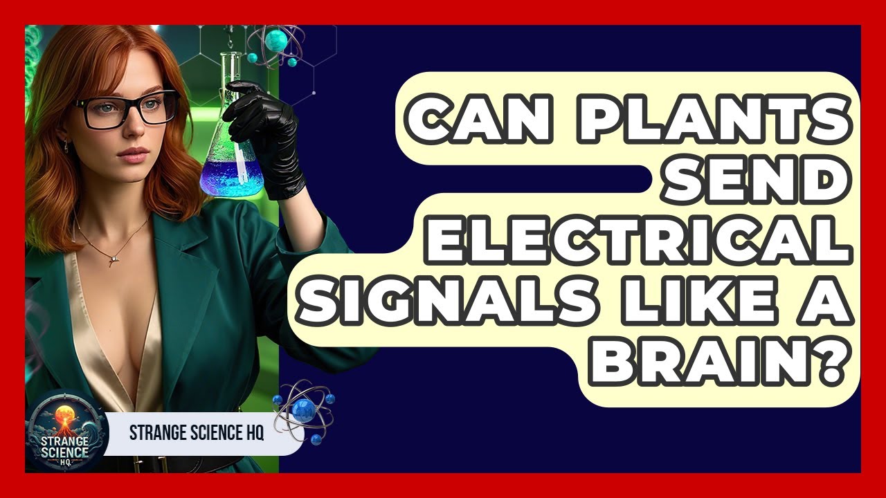Can Plants Send Electrical Signals Like A Brain? - Strange Science HQ