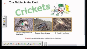 A+ Interactive Software 1 Tutorial: Utilizing multi-media content