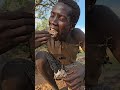 Hadzabe Preparing a Warm Shared Pot Meal #Hadzabe #SharedMeal #PotCooking #WildFood #shorts