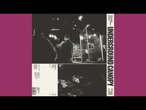 Bluestaeb x S. Fidelity - Stoopid Game