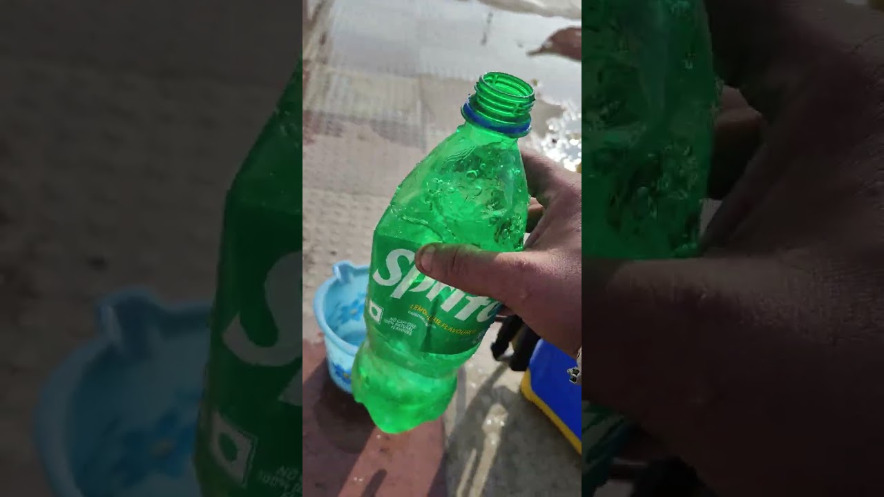 How To Use Pesticides For Rose Plant.