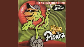 Video thumbnail of "Flor De Piedra - Amotinada"