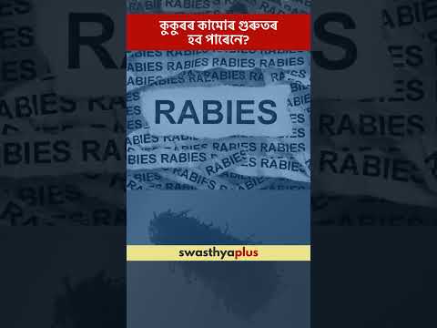 কুকুৰৰ কামোৰ গুৰুতৰ হব পাৰেনে? | What is the Complication of Dog Bite? | Dr Rahul Gam | #Shorts