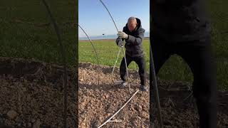 Quick And Easy Metal Frame Setup Simple Ground-Pin Starter Savethisidea.