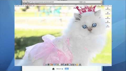 Track your stolen computer