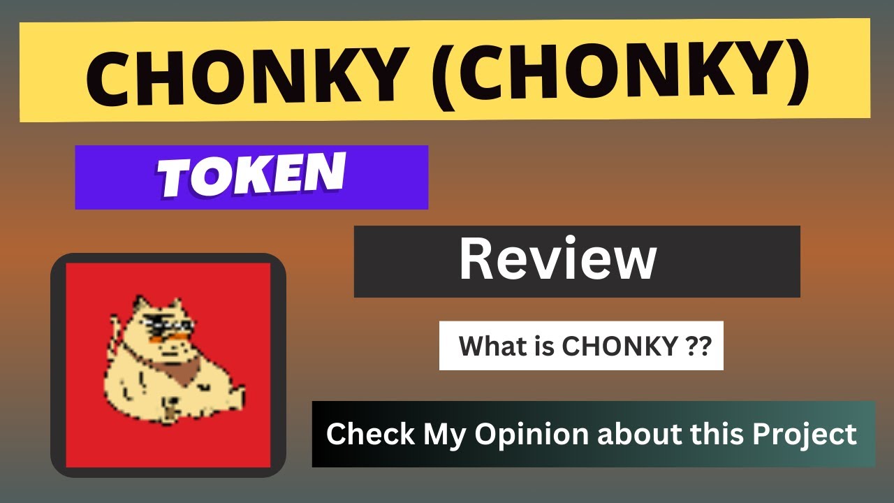 What is CHONKY (CHONKY) Coin | Review About CHONKY Token - YouTube