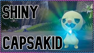 [LIVE] SHINY CAPSAKID/SCOVILLIAN FULL ODDS!!!!! POKEMON SCARLET/VIOLET