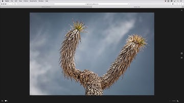 Sharing Collections of Photographs from Lightroom Web | Adobe Lightroom