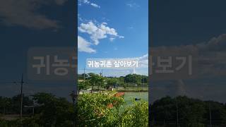 은퇴후에 고민마세요 돈받으며 살아보기 해보세요 (사이트는 그린대로 이용)