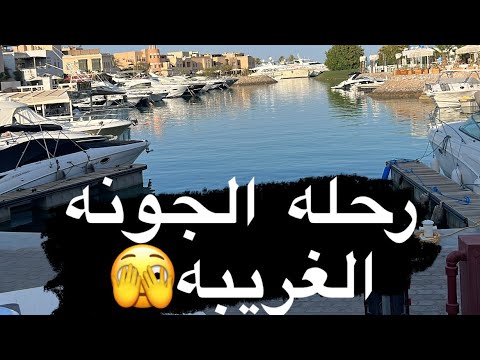 شفت الي ما شفته في حياتي في الجونه