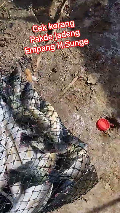 cek korang Pakde jadeng