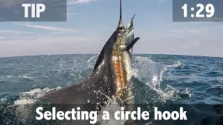 SELECTING A CIRCLE HOOK