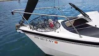 Macgregor modifications Satisfaction