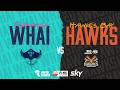 LIVE - Tauranga Whai v Hawkes Bay Hawks | @SalsNBL  2026