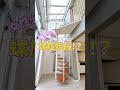 【女性必見】螺旋階段のある生活#shorts