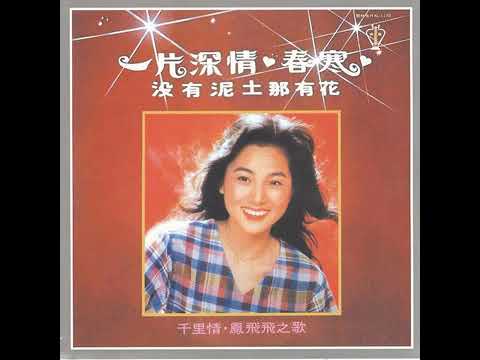 鳳飛飛 - 海濤聲聲【動態歌詞 Lyrics】