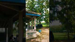 Makam Jati Kembar Ki Ageng Darmoyono Kayen Pati #shorts #makamwali #wisatareligi #wisataziarah