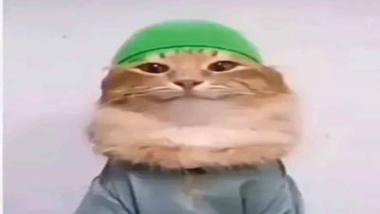 i found these memes at 3 am - YouTube