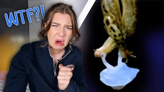 REACTING TO THE WEIRDEST ANIMAL MATING RITUALS