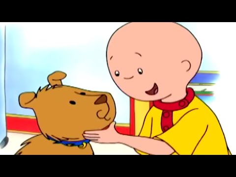 Caillou und der verlorene Hund | Caillou auf Deutsch