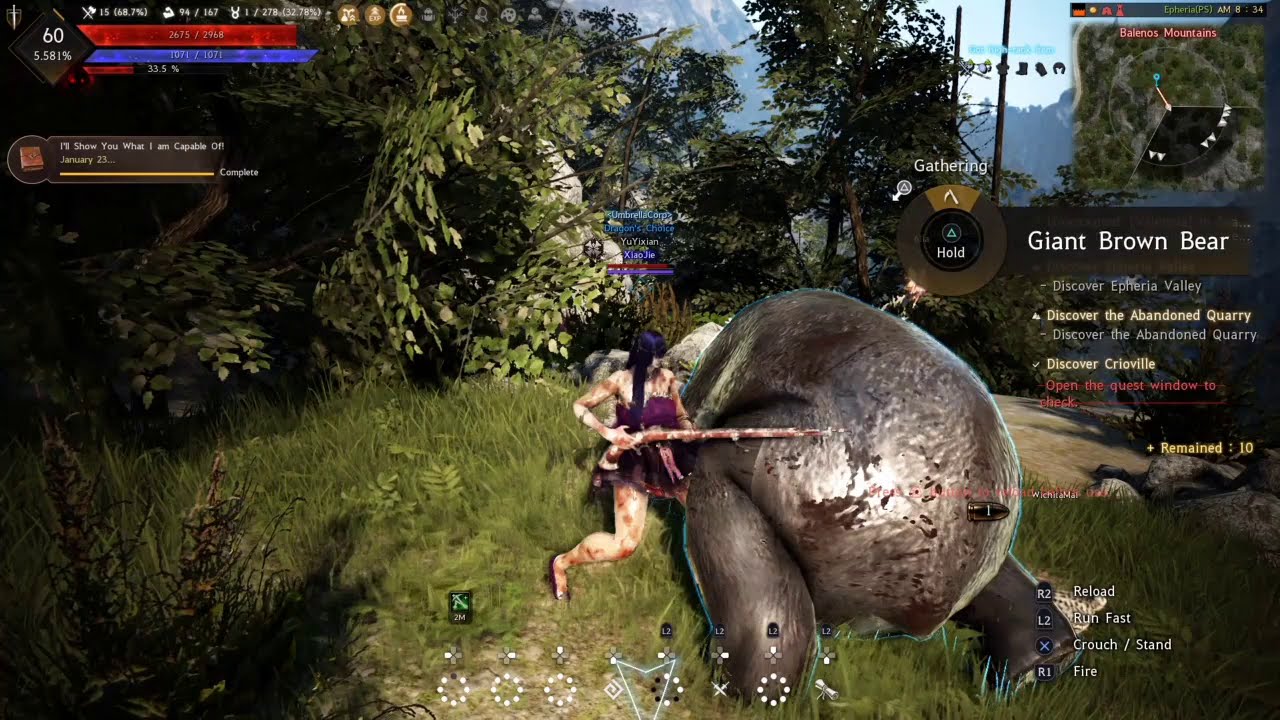 Hunt Giant Brown Bear at Balenos Mountain Black Desert PS4 YouTube