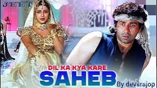 Dil ka kya kre saheb | दिल का क्या करे साहेब | hindisong oldsong #djsong 