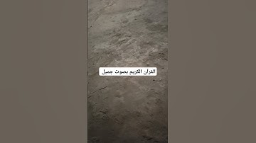 القرآن الكريم بصوت جميل #اكسبلور #قرآن #تيك_توك #لايك #ترند #راحة_نفسية #quran #تصويري #في