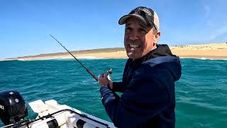 Tips for Roosterfish in Cabo!