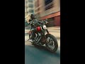 2026 Street Bob